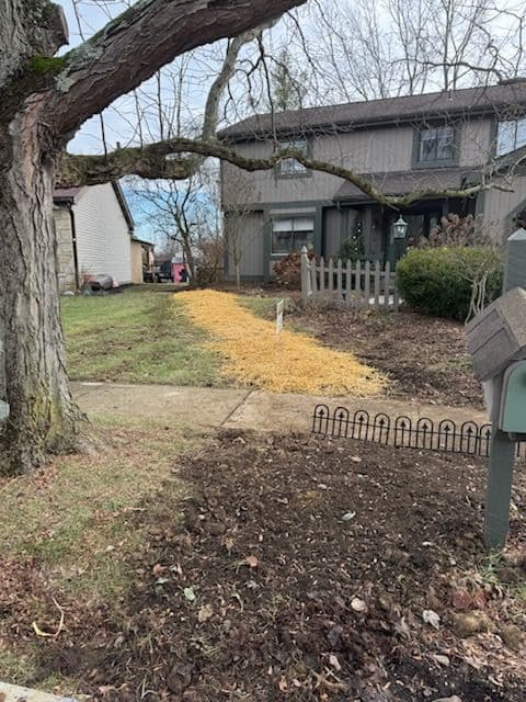 Gallery photos for Copper Water Line Replacement: Image #2